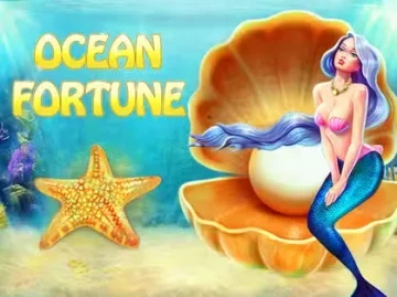 Winnita Casino screenshot
